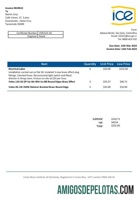 Costa Rica Instituto Costa-riquenho de Conta de Serviços Públicos de Eletricidade Formatos Word e PDF modelo